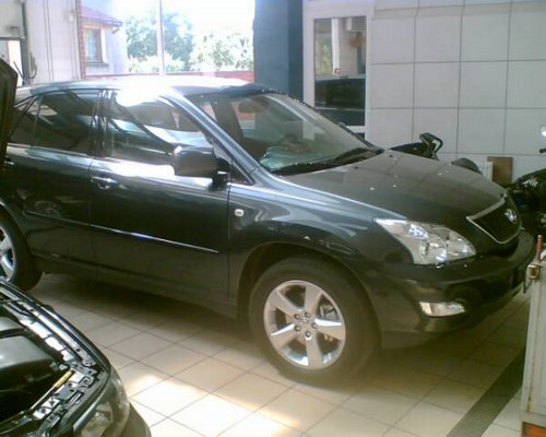 Zdj_cie036.jpg